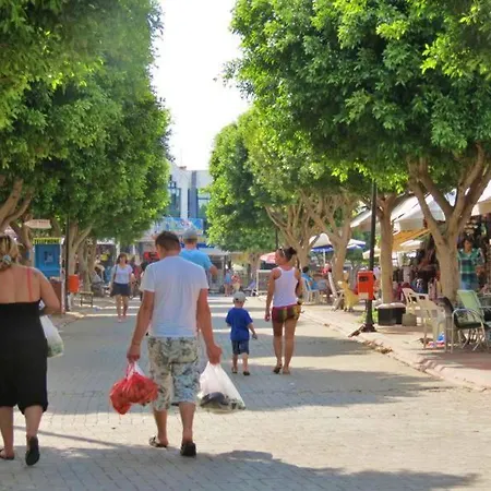 Emerald Towers A33 Διαμέρισμα Avsallar